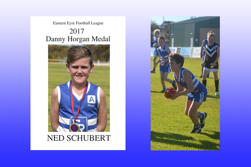 Ned Schubert 2017 Danny Horgan Medal